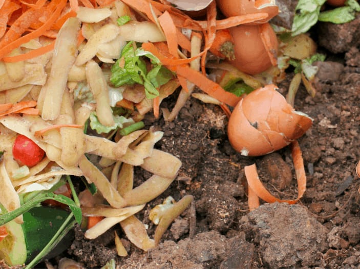 food scraps and eggshells in soil