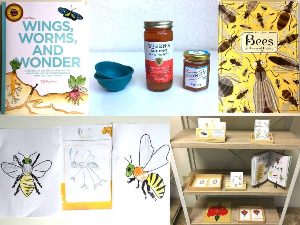 Collage of Montessori Bee Activities for preschool and elementary.  Books, coloring pages, and shelf work on display