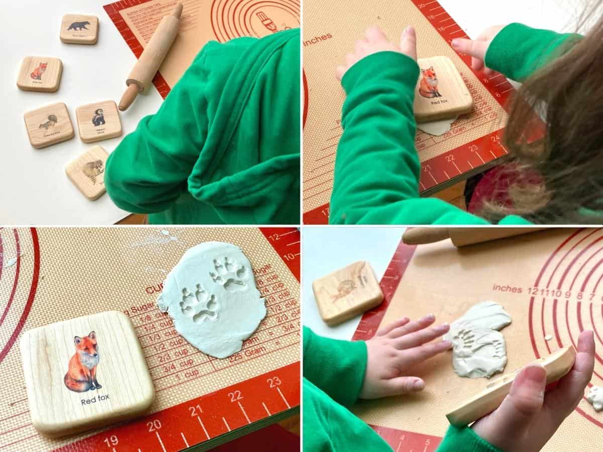 Animal Tracks Play-Doh Stampers