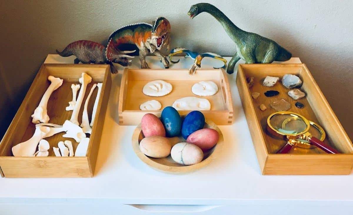 Dinosaurs, animal bones, eggs, and rocks & minerals on display in tray with magnifying glasses