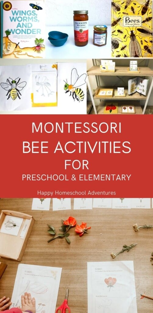 Affordable Montessori Bee Activities for Preschool and Elementary students containing books, printables, and hands-on materials.  Interdisciplinary bee activities for kids.  All subject areas, including Practical Life and Ecology.