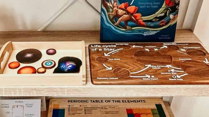 History of the Universe for Kids: The Montessori First Great
