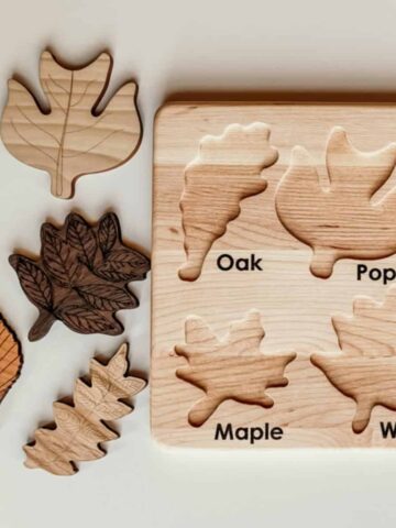 Montessori Tree Activities For Preschoolers Tree Puzzle