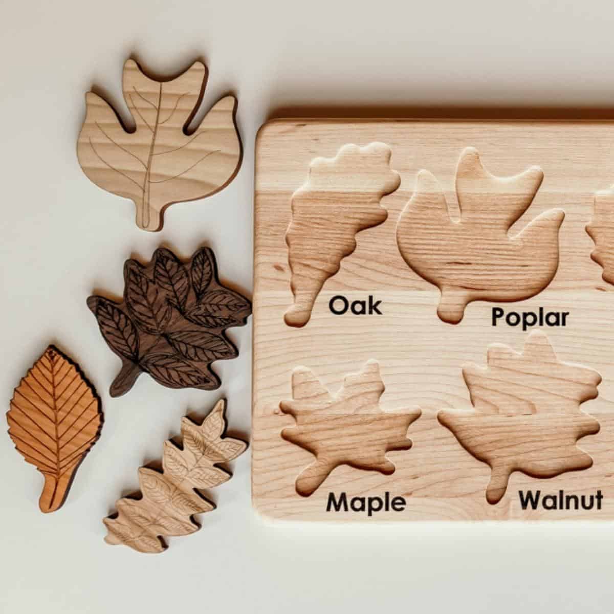 Mirus Toys Double-Sided Leaf Puzzle