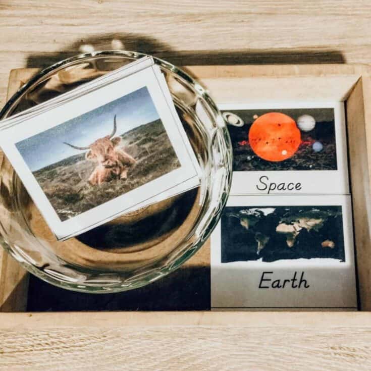 Space Activities for Kids Earth vs Space Sorting on a Montessori tray