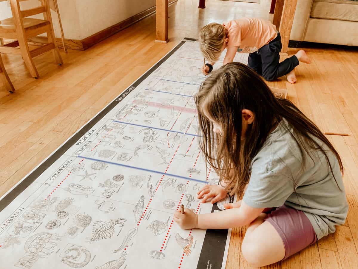 kids coloring the timeline of life