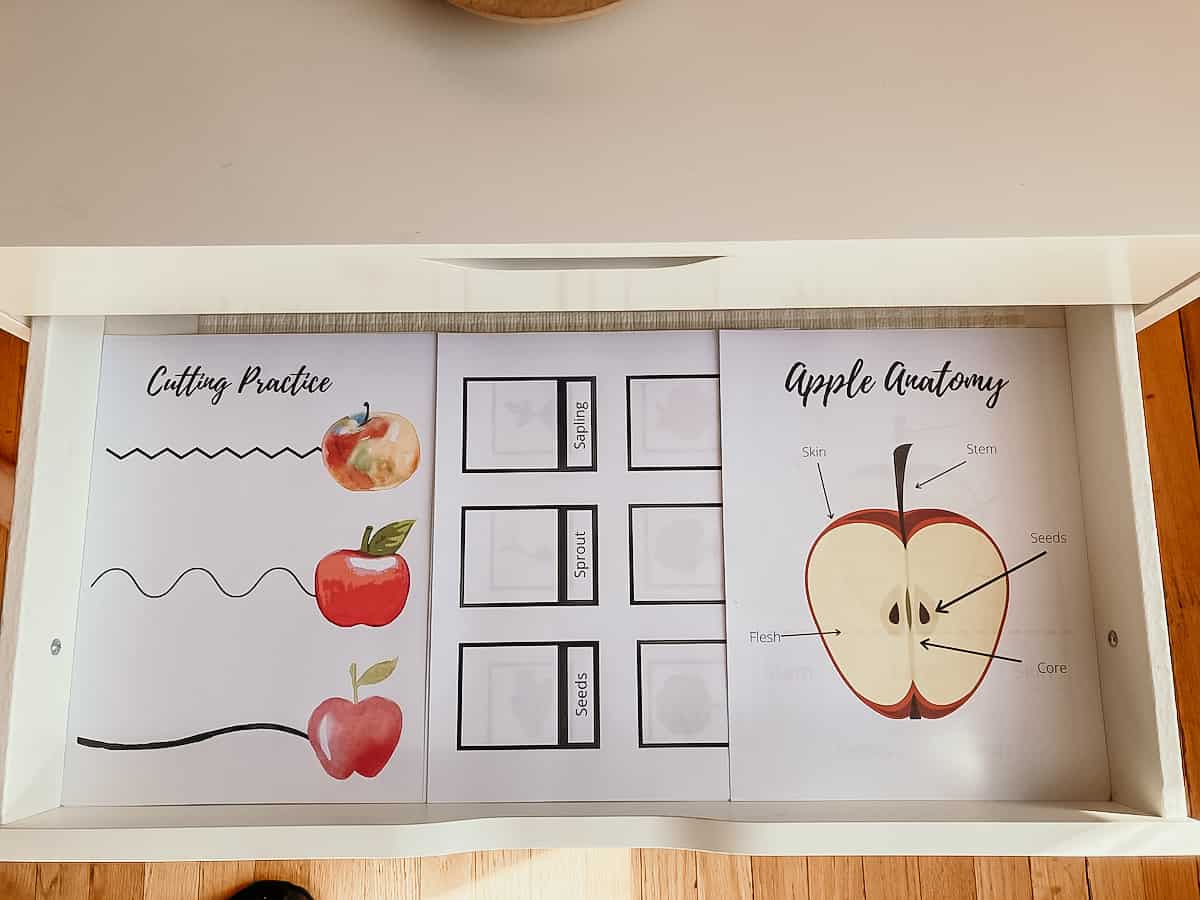 Apple Activities Art Drawer
