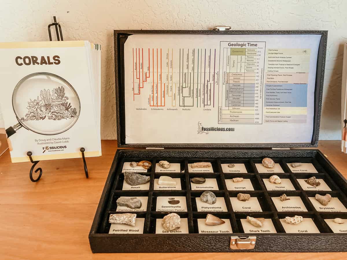 Corals Book on display next to an open collection of Fossils from Fossilicious.