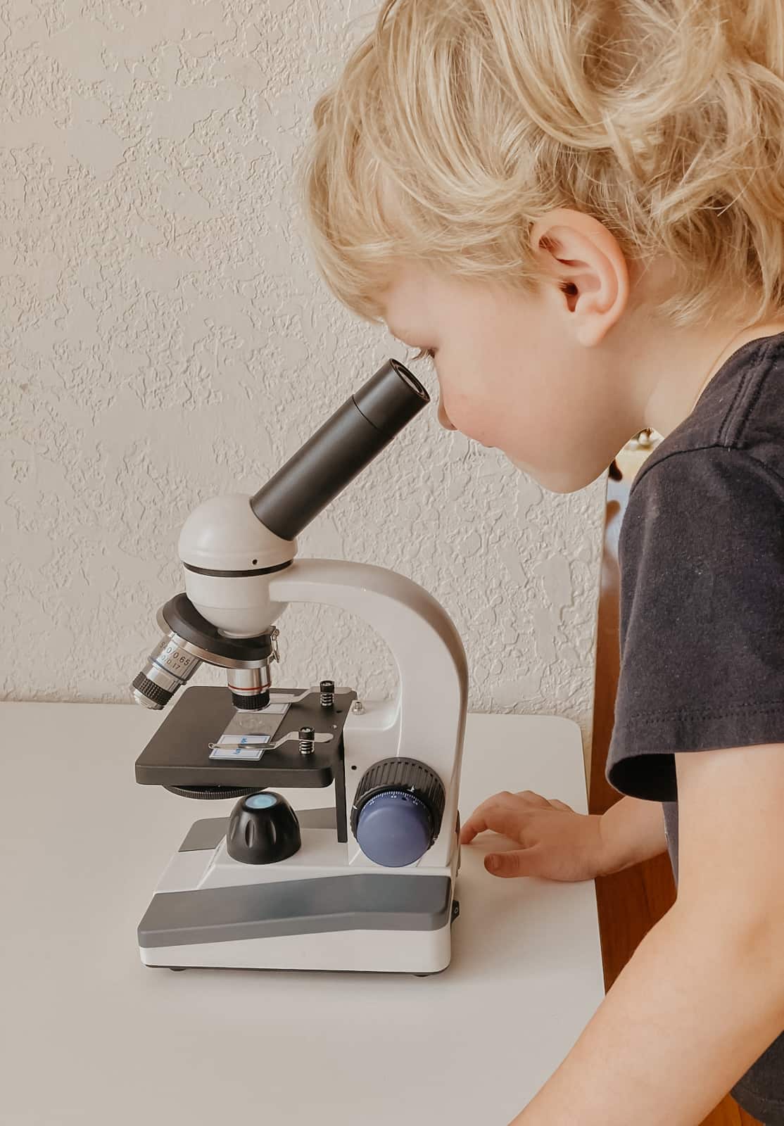 Montessori child looking at Pine Leaf through a microscope