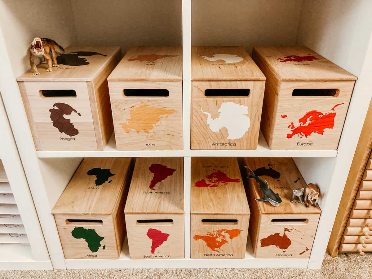 Montessori Continent Boxes with Schleich animals sitting on top