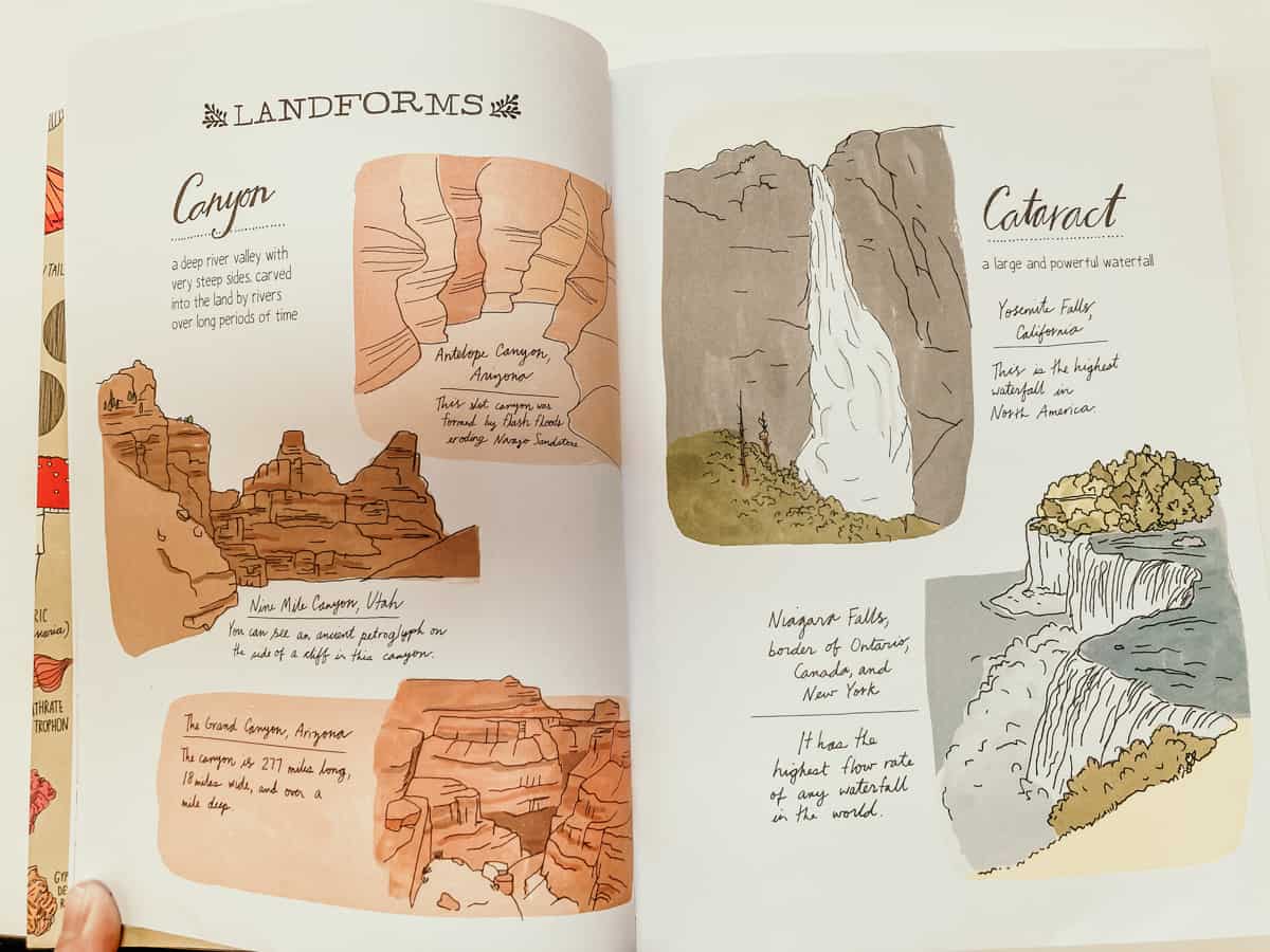 Nature Anatomy by Julia Rothman open to pages about landforms