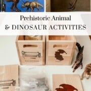 This Montessori-friendly Unit Study nurtures fun, affordable, hands-on learning about prehistoric animals, dinosaur activities, and fossil activities using books, art experiences, and more. These Geology and Paleontology activities are targeted toward preschool and kindergarten ages but can be adapted for all learners in homeschool. They will nurture a love of earth science, dinosaurs, and other prehistoric life, as well as a strong nature connection.