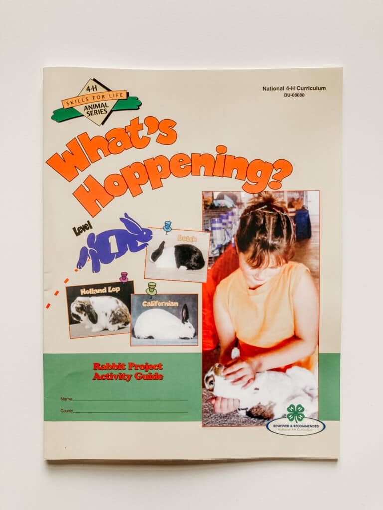 Pet Rabbit Care Routine With Free Printables • Happy Homeschool Adventures