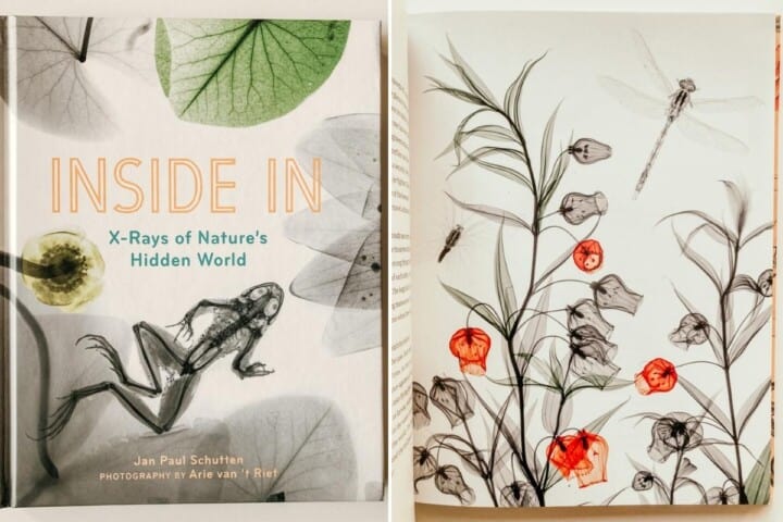 Cover and sample page from Inside In: X-Rays of Nature's Hidden World