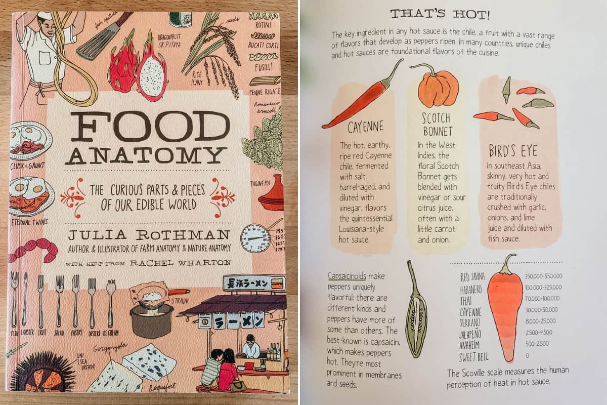Cover of Food Anatomy by Julia Rothman and page about peppers