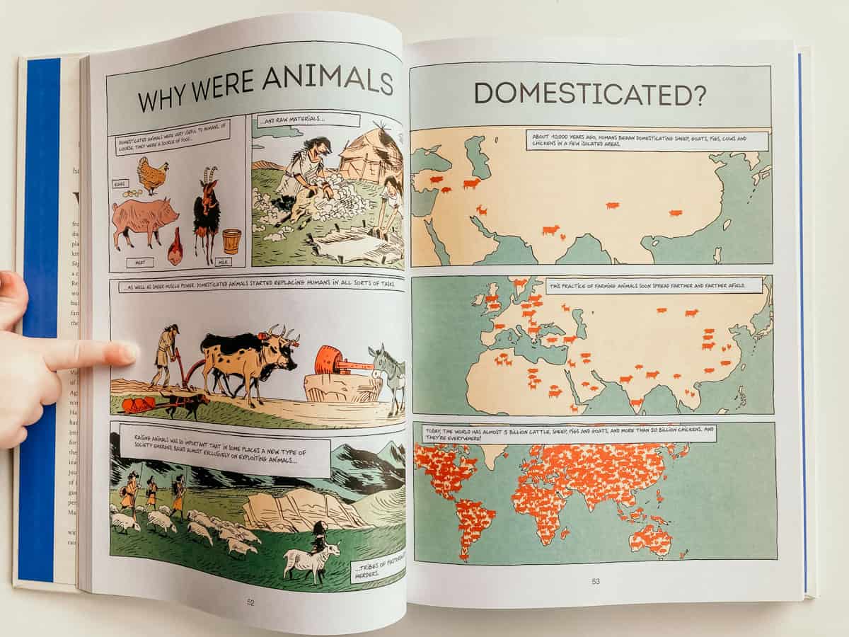 Sample pages from Sapiens: The Pillars of Civilization about the domestication of animals