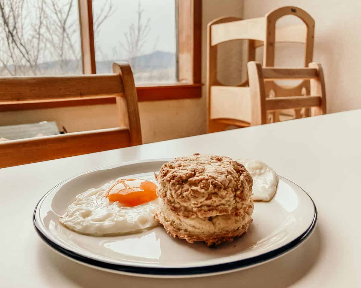 closeup of a plate with a buttermilk biscuit and eggs on a kid's table