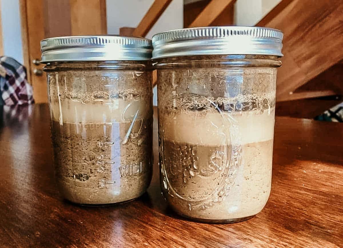 mason jars containing soil and water on a table