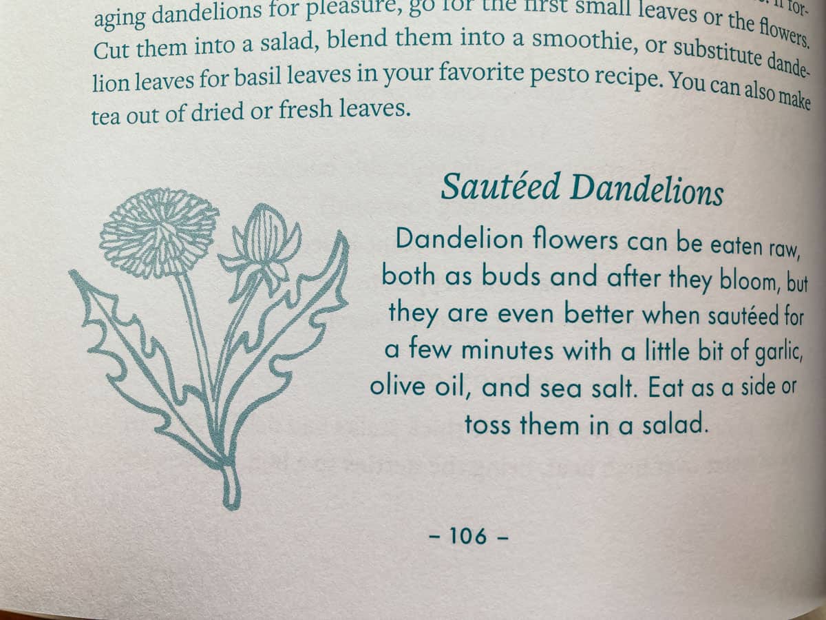 Sample page from The Open-Air Life book about preparing dandelions