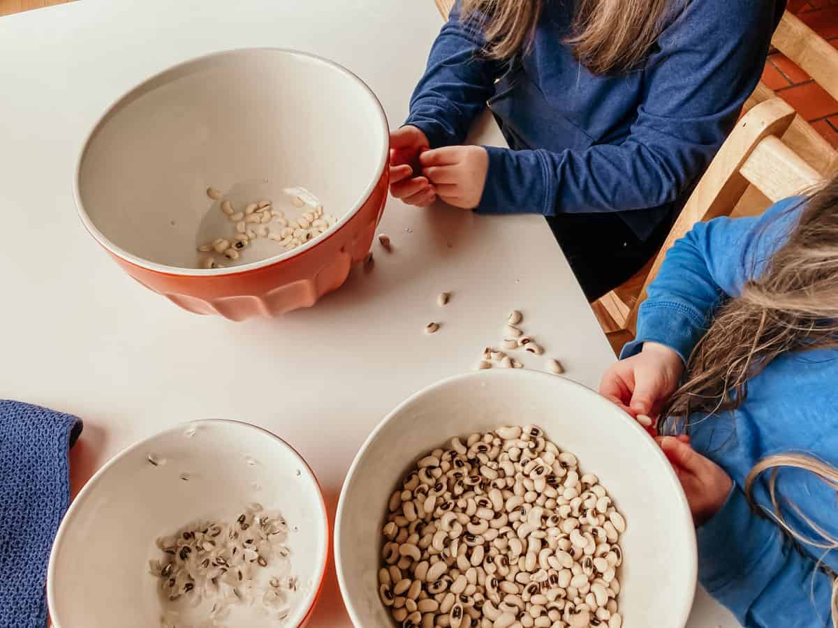 three bowls on a kitchen table and kids peeling black-eyed peas