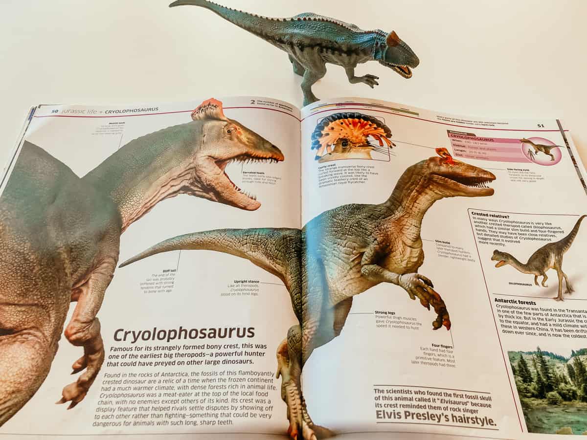 Schleich Cryolophosaurus and Dinosaur! Dinosaurs and Other Amazing Prehistoric Creatures as You've Never Seen Them Before