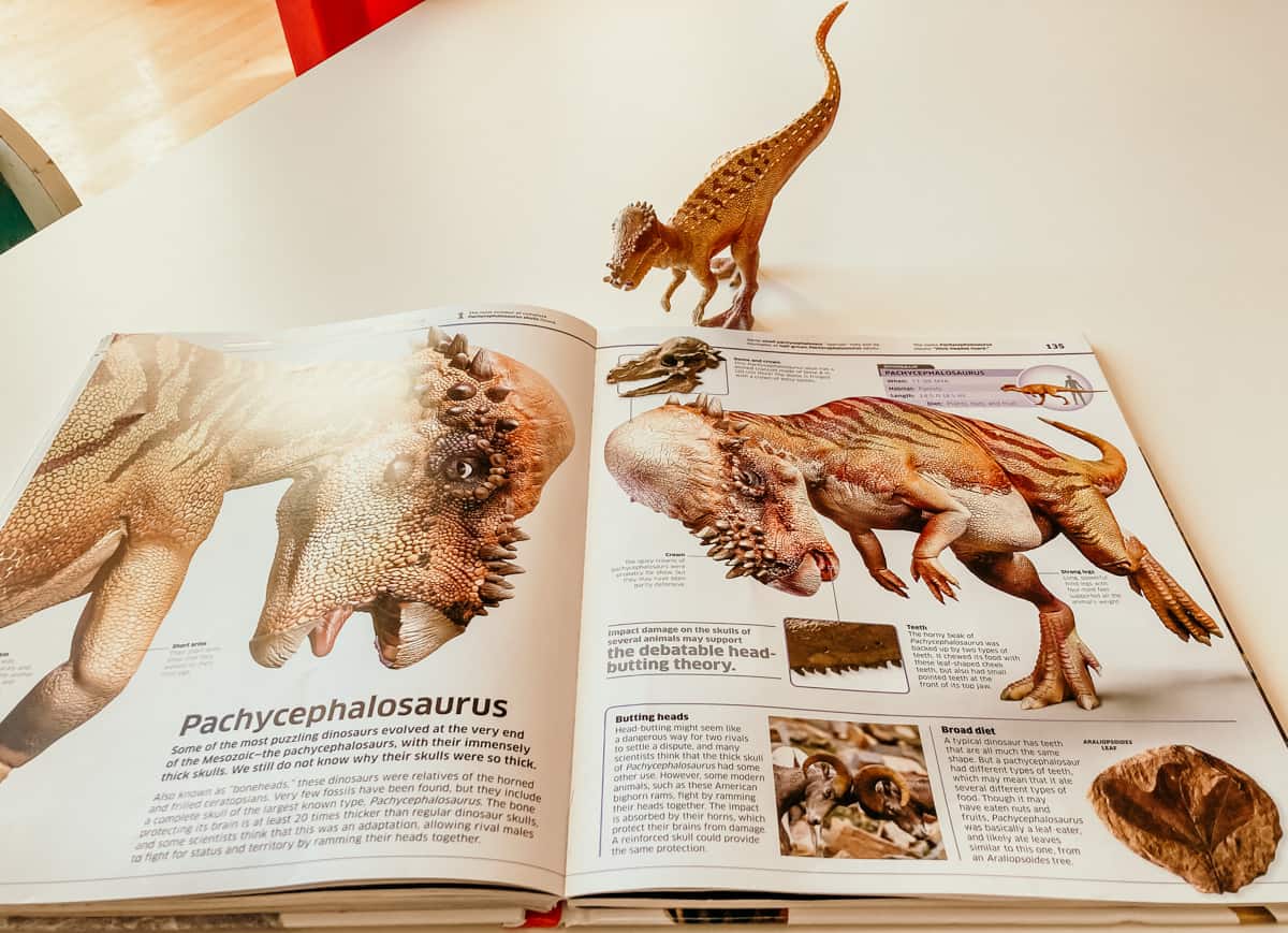 Schleich Pachycephalosaurus and Dinosaur! Dinosaurs and Other Amazing Prehistoric Creatures as You've Never Seen Them Before