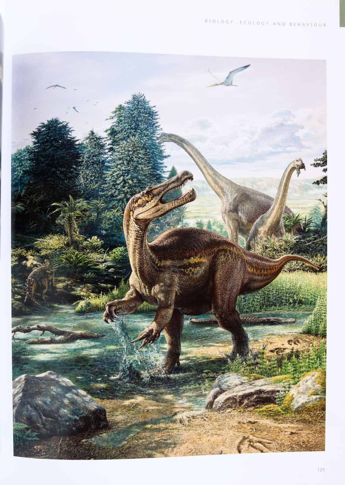illustration of Baryonyx hunting from Dinosaurs: How They Lived and Evolved
