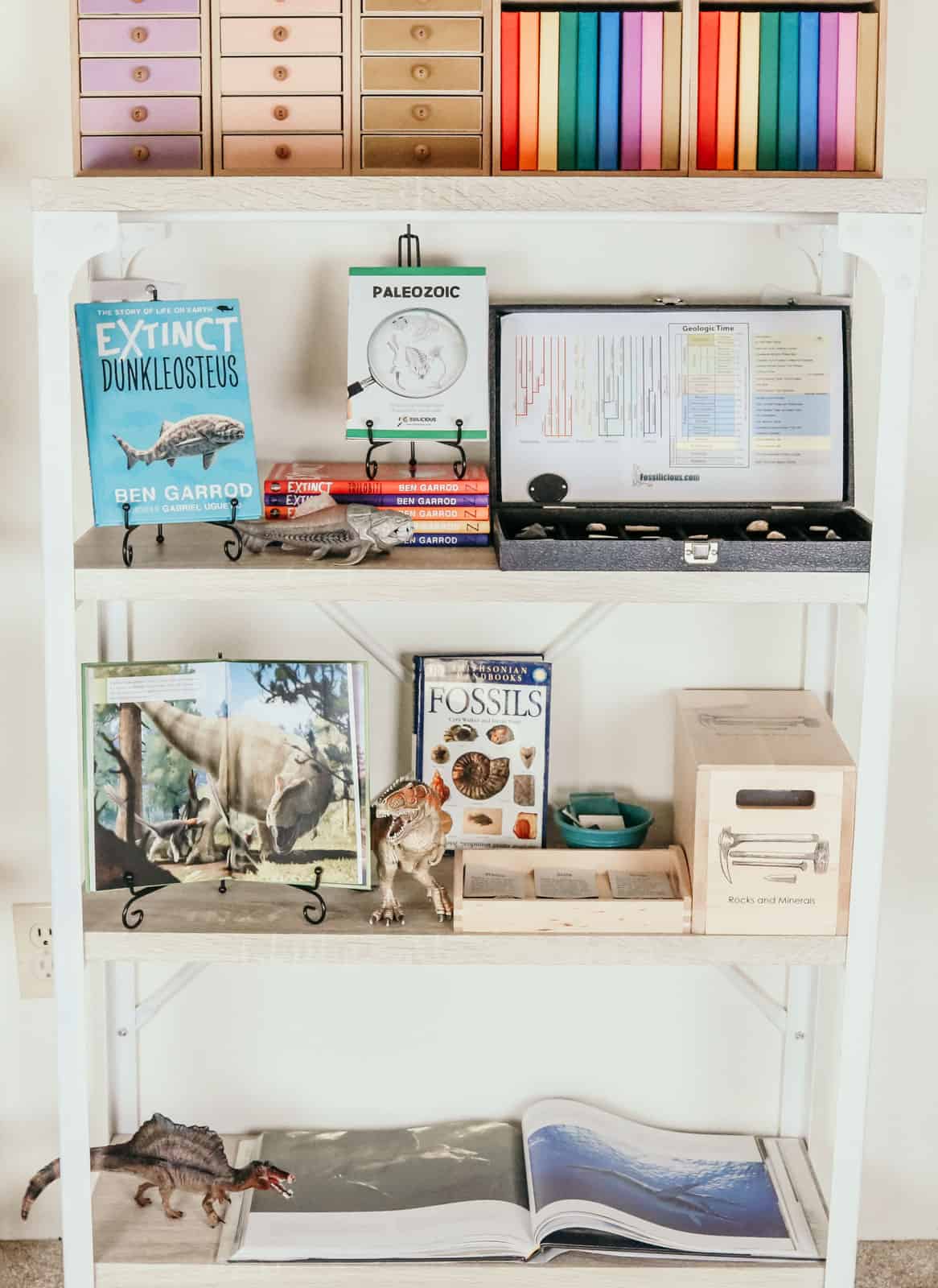 homeschool shelves with books and hands-on materials for exploring the history of earth