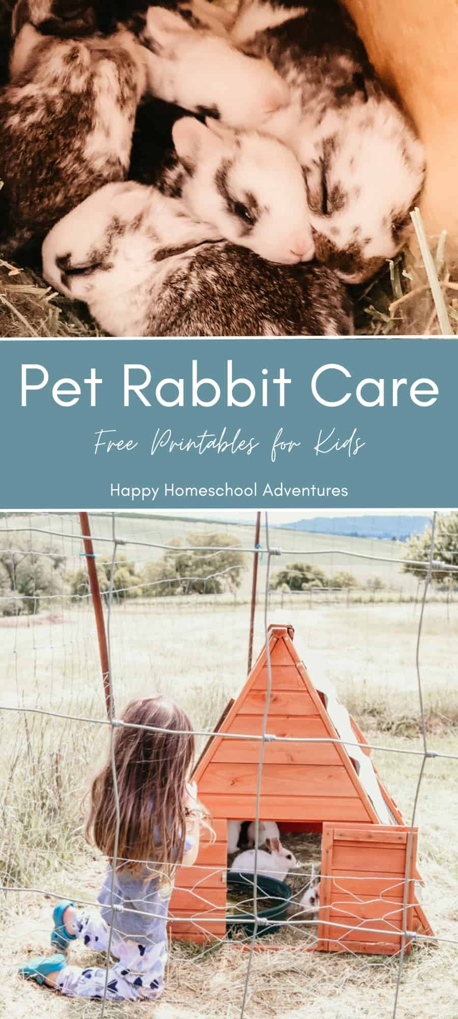 Pet Rabbit Care Routine With Free Printables • Happy Homeschool Adventures