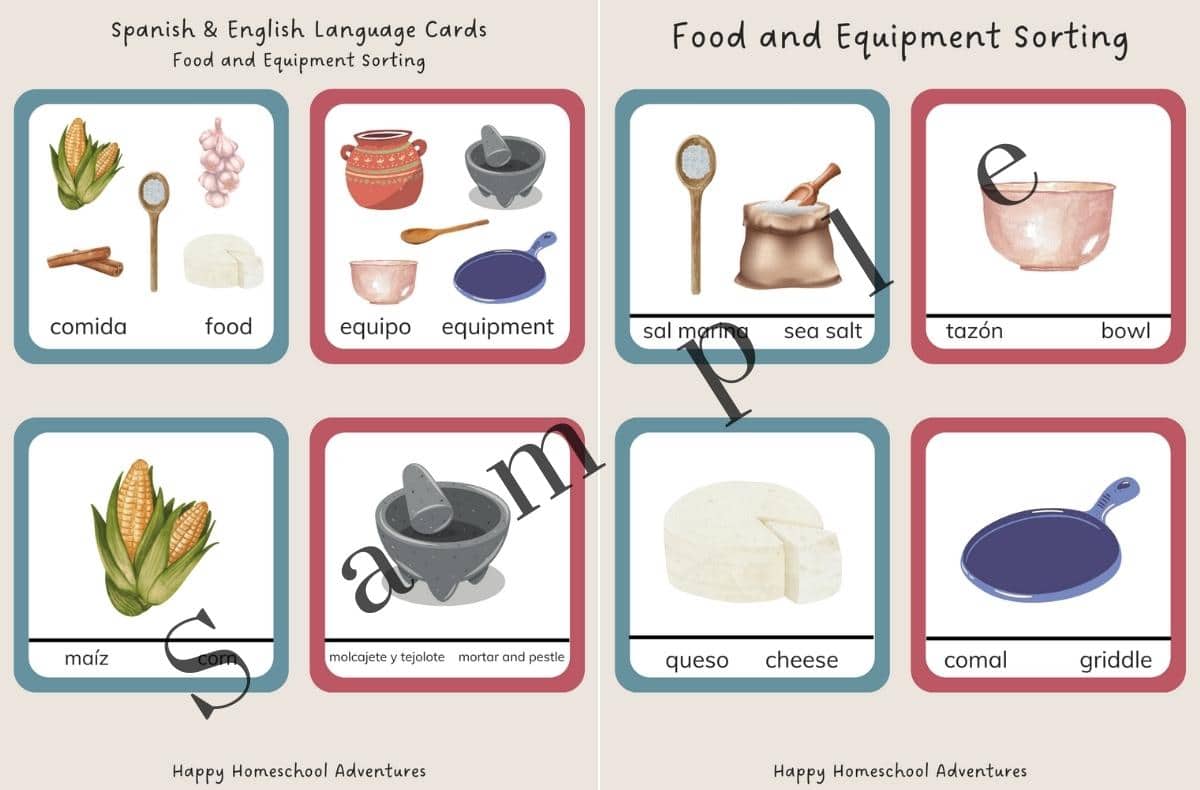 food and equipment sorting activity in Spanish and English, also 3-part cards