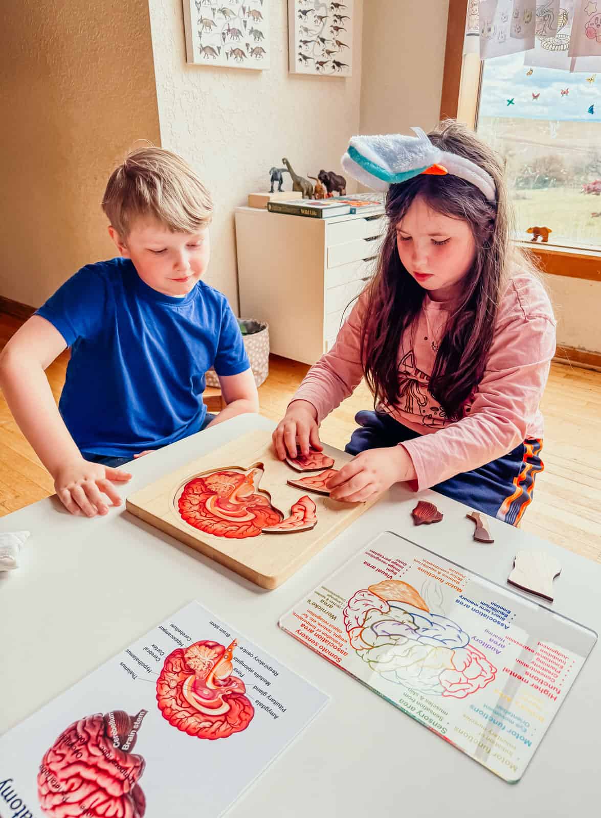 Kaia and Noah are completing the parts of the brain puzzle