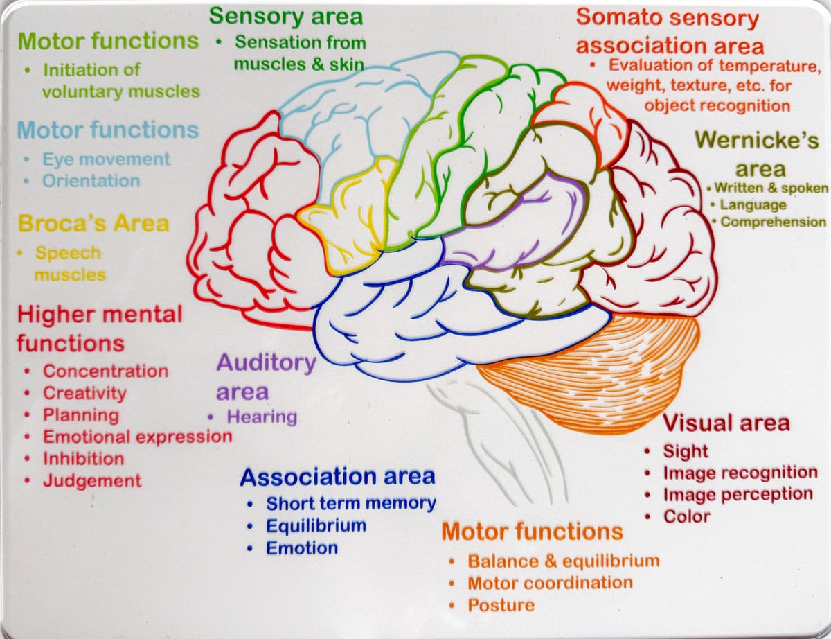 clear parts of the brain control card