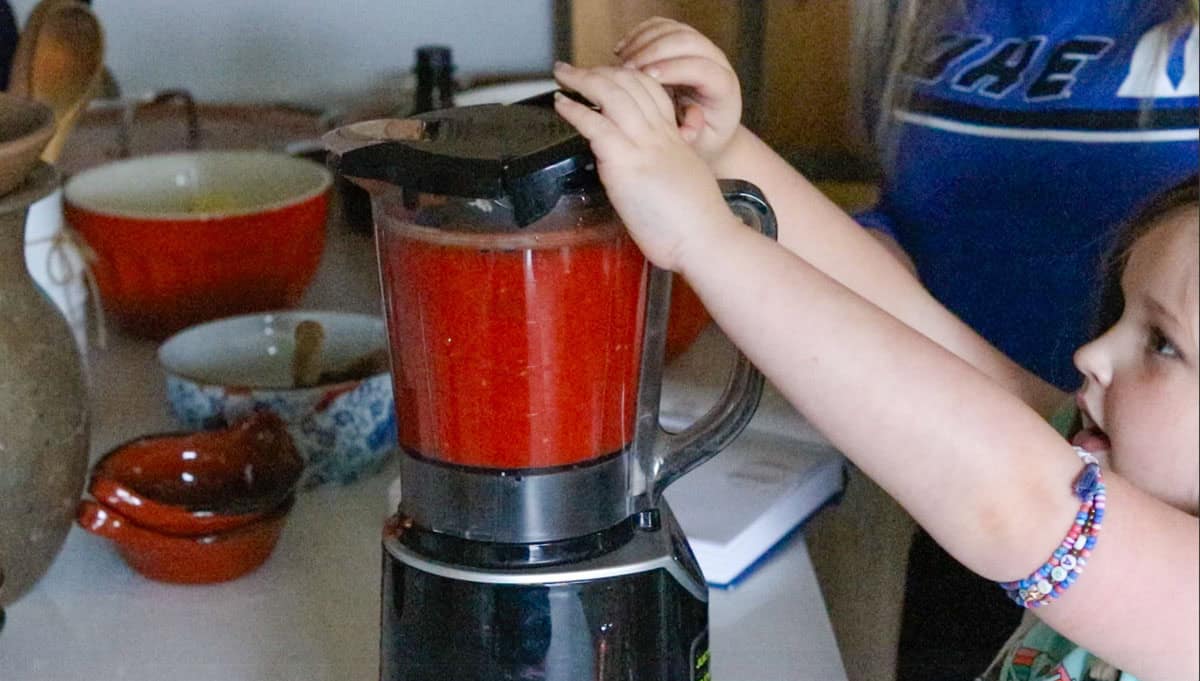 Katalina is using a blender to process tomatoes