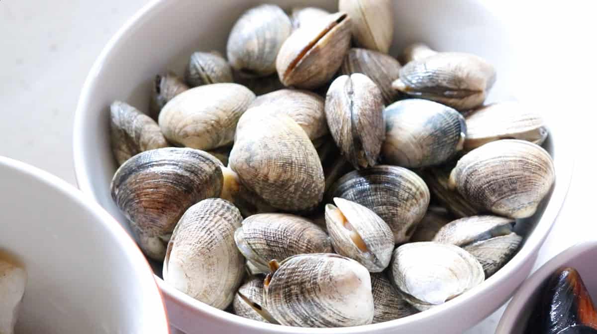fresh clams in a bowl
