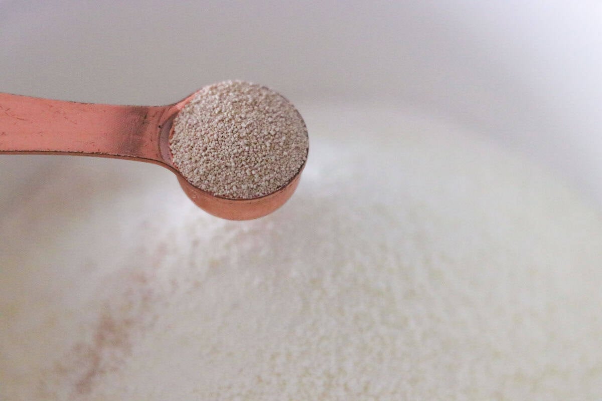 yeast for making milk buns dough