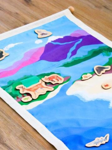 The Waseca Biomes Land Air Water Mat with wooden animals
