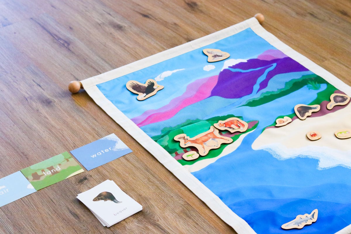 The Waseca Biomes Land Air Water Mat with wooden animals