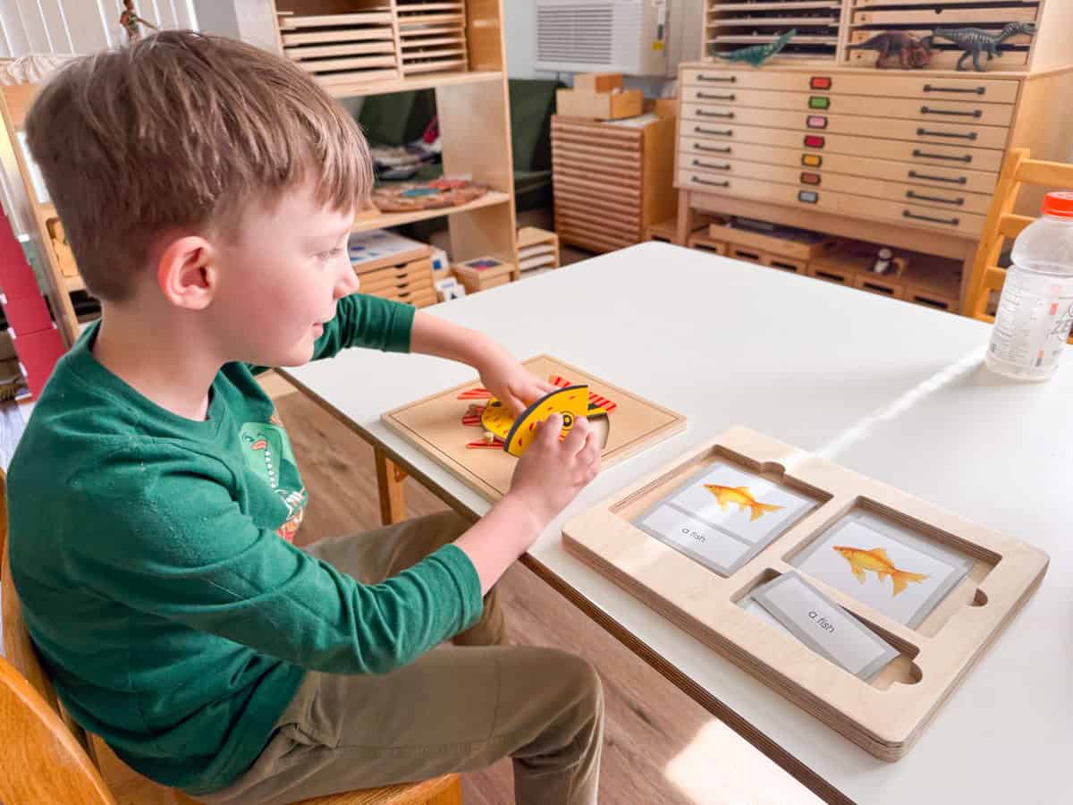 John is working with a Montessori fish puzzle