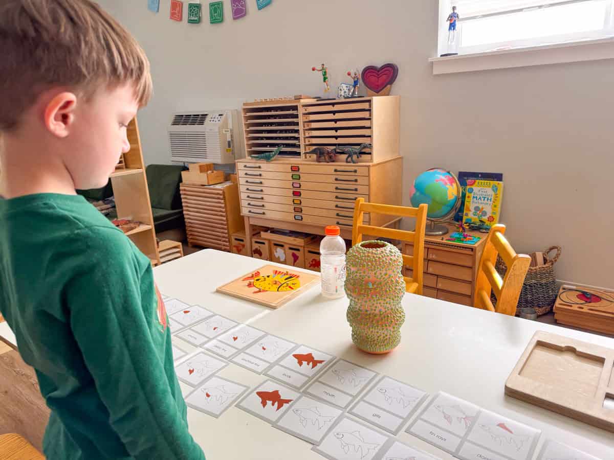 John is working with Waseca Biomes Parts of a Biome 3-part cards and a Montessori fish puzzle