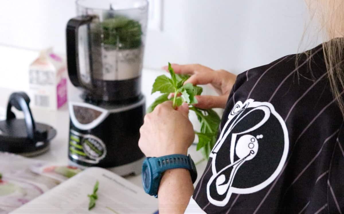 Kristin is removing basil stems