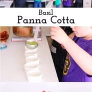 Flip the script on your guests with this basil panna cotta dessert topped with strawberries. Make it ahead of time & chill before the party.