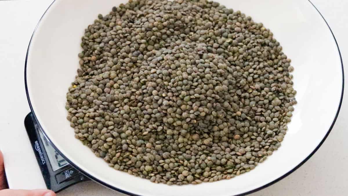 weighing french-style green lentils