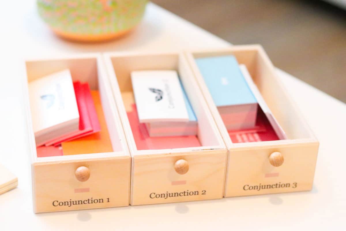 conjunction boxes from the Waseca Biomes Grammar Cabinet