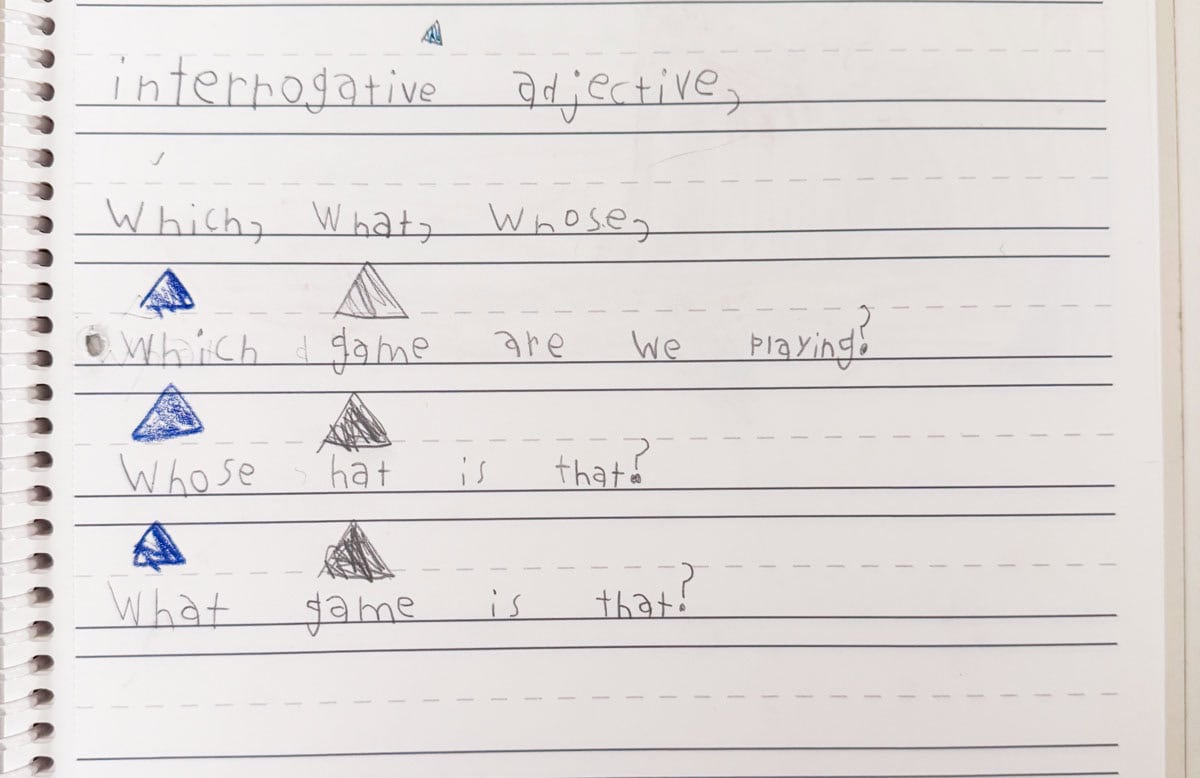 questions that contain interrogative adjectives