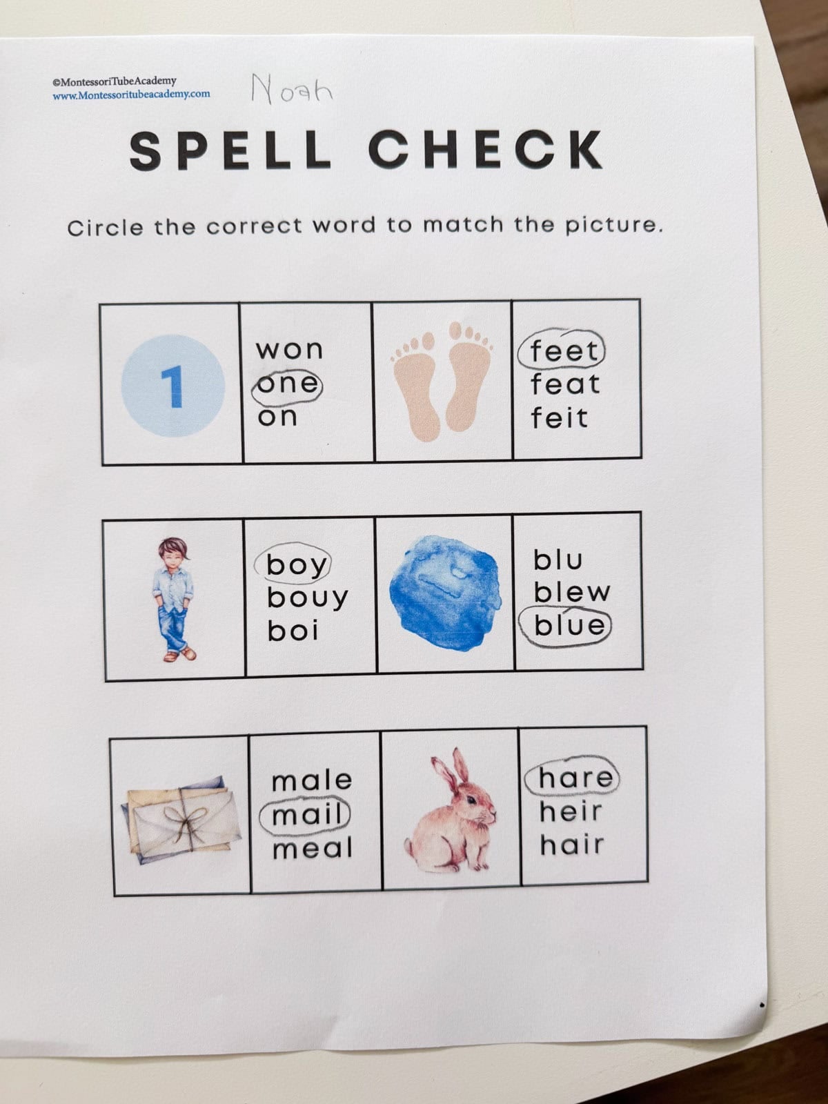 homophones worksheet from Montessori Tube Academy