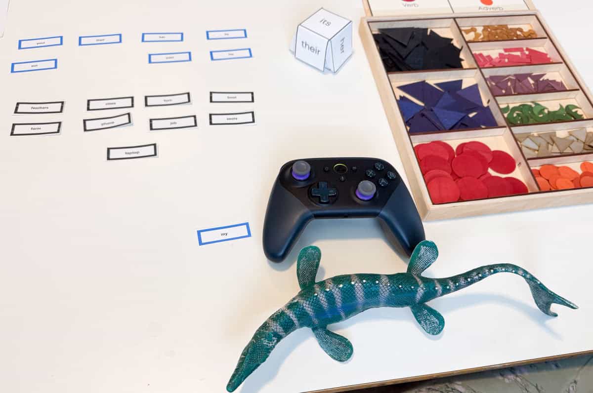 possessive adjectives printables, grammar symbols, a luna video game controller, and a mosasaurus on a table