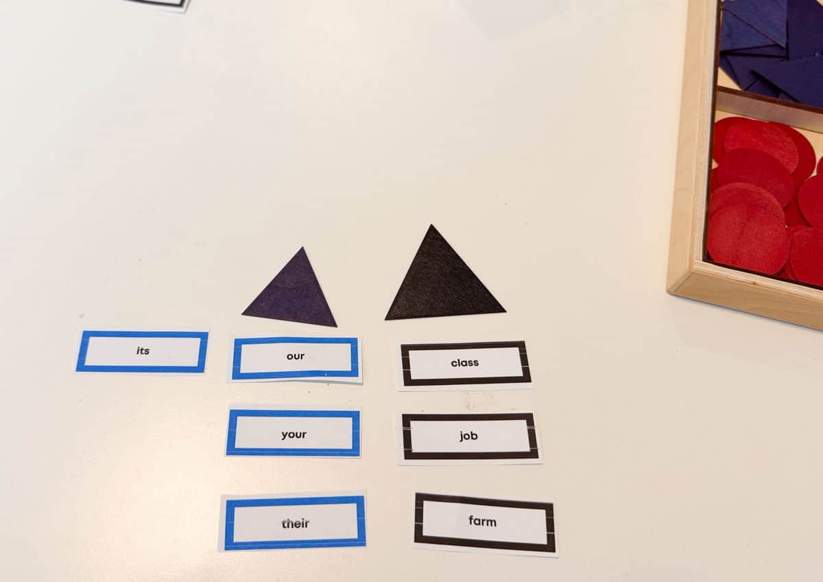 possessive adjectives printables