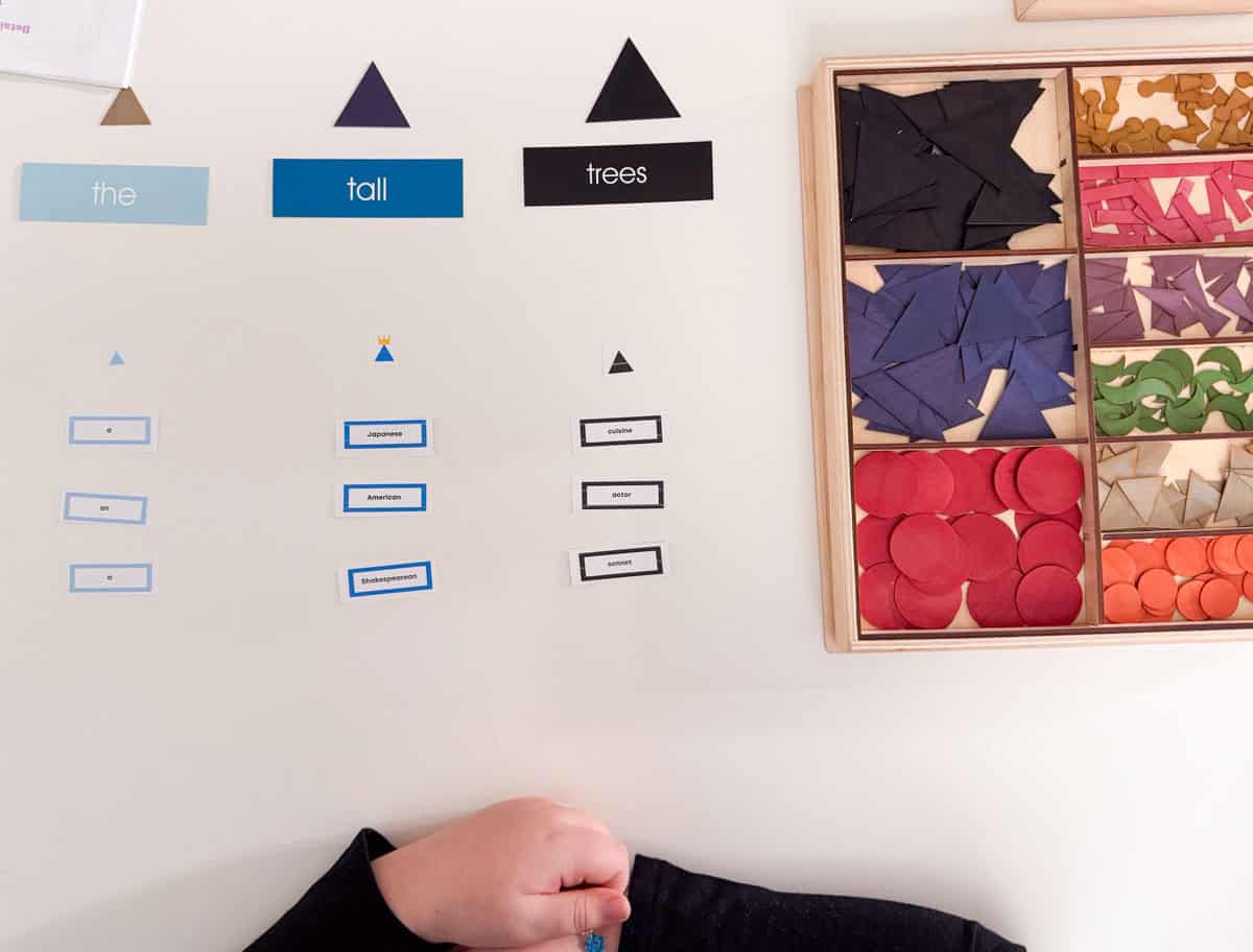 Waseca Biomes grammar symbols and Montessori Tube Academy printables for learning about proper adjectives