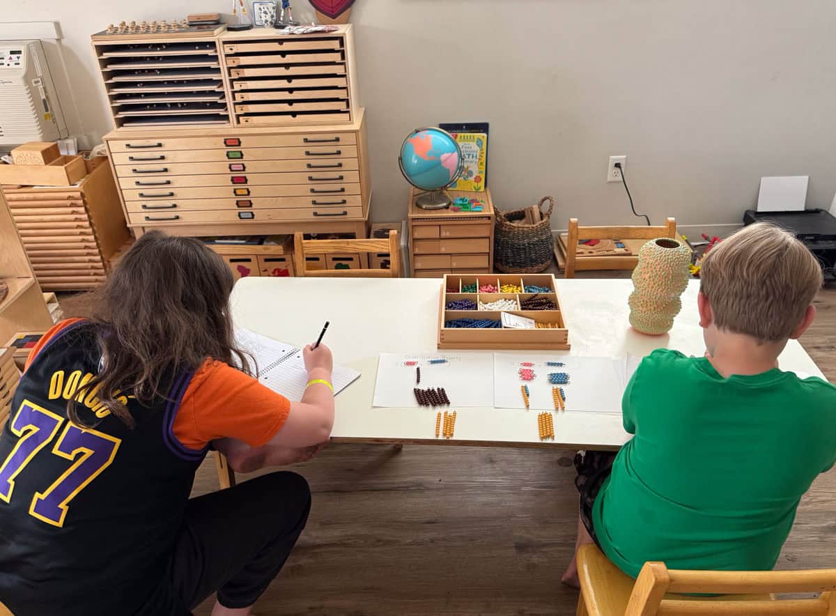 Kaia and Noah are working on problems related to the Distributve Law of Multiplication