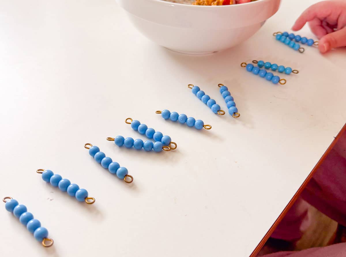 5 bead bars from the Montessori decanomial bead box
